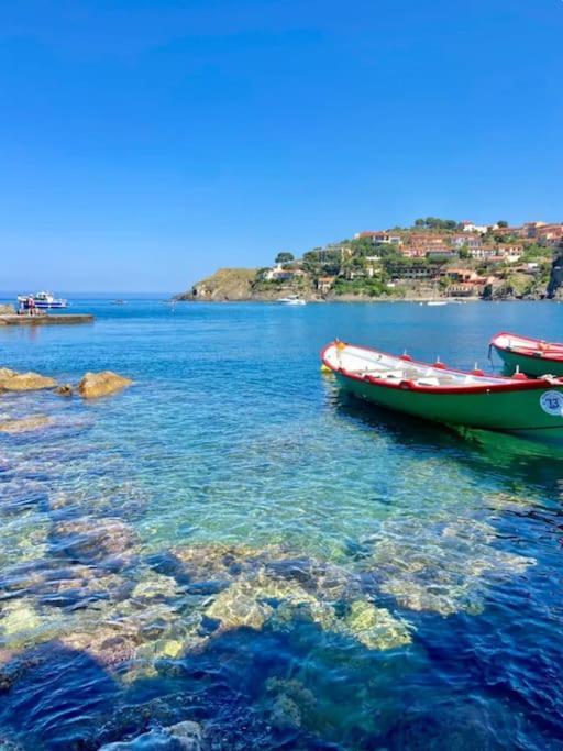 Collioure Fisherman'S House Apartment With Garden Exterior foto